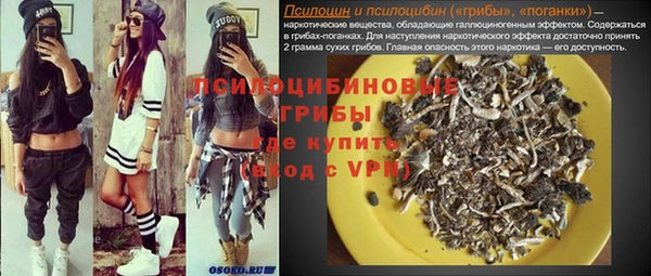 гидра Арсеньев