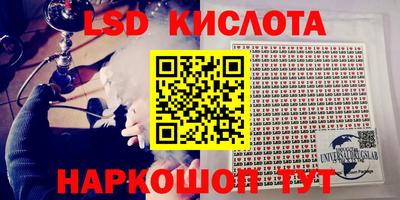 ПСИЛОЦИБИНОВЫЕ ГРИБЫ Новокубанск