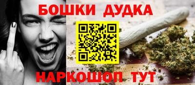гидропоника Новодвинск