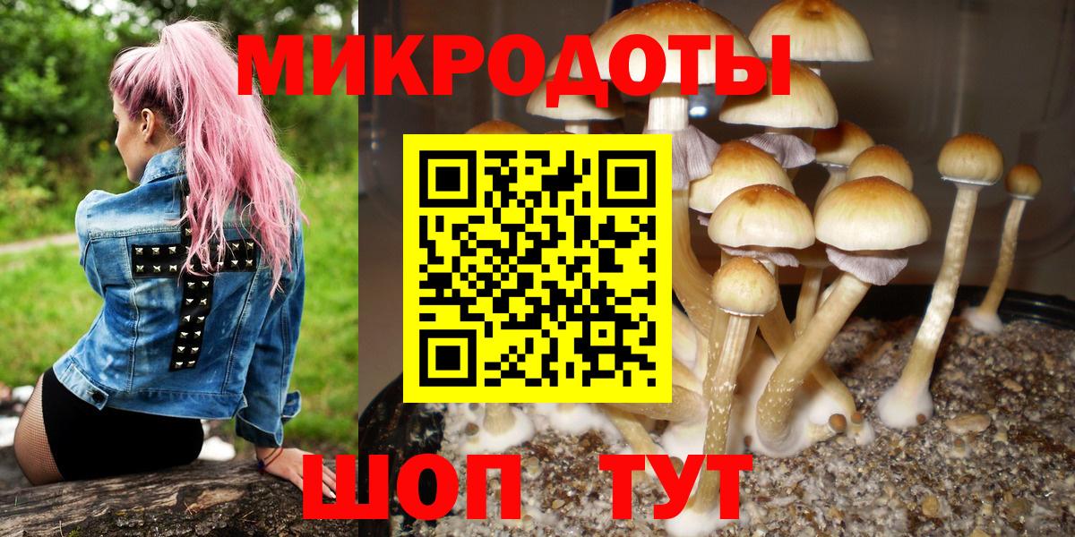 Спасск-Дальний  Галлюциногенные грибы MAGIC MUSHROOMS  Вход с VPN 